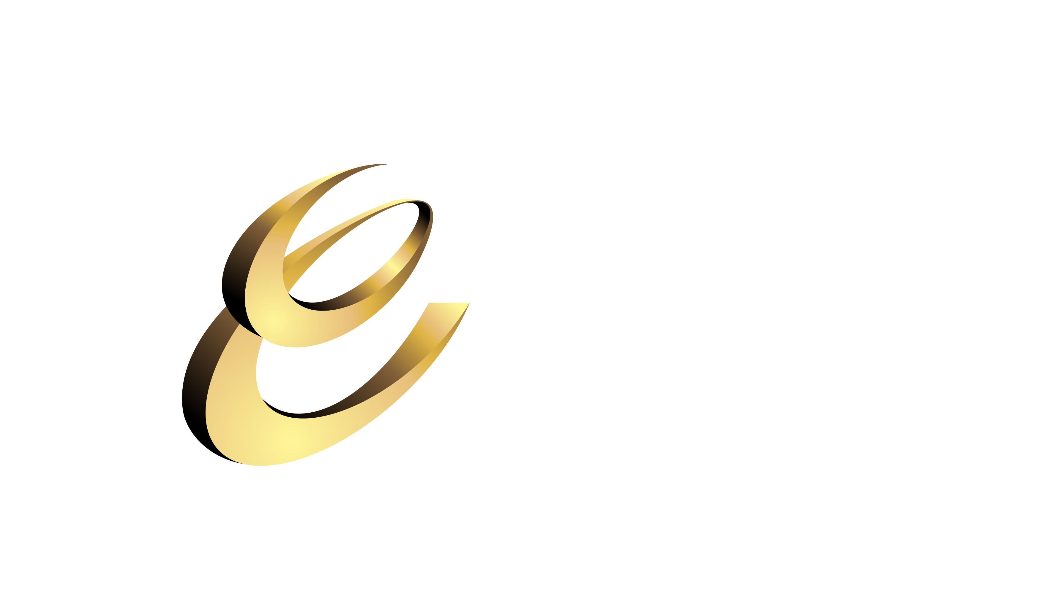 E50 logo
